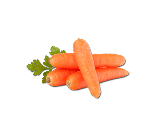 korenje rdeče oranžno rumeno dostava zelenjava sadje