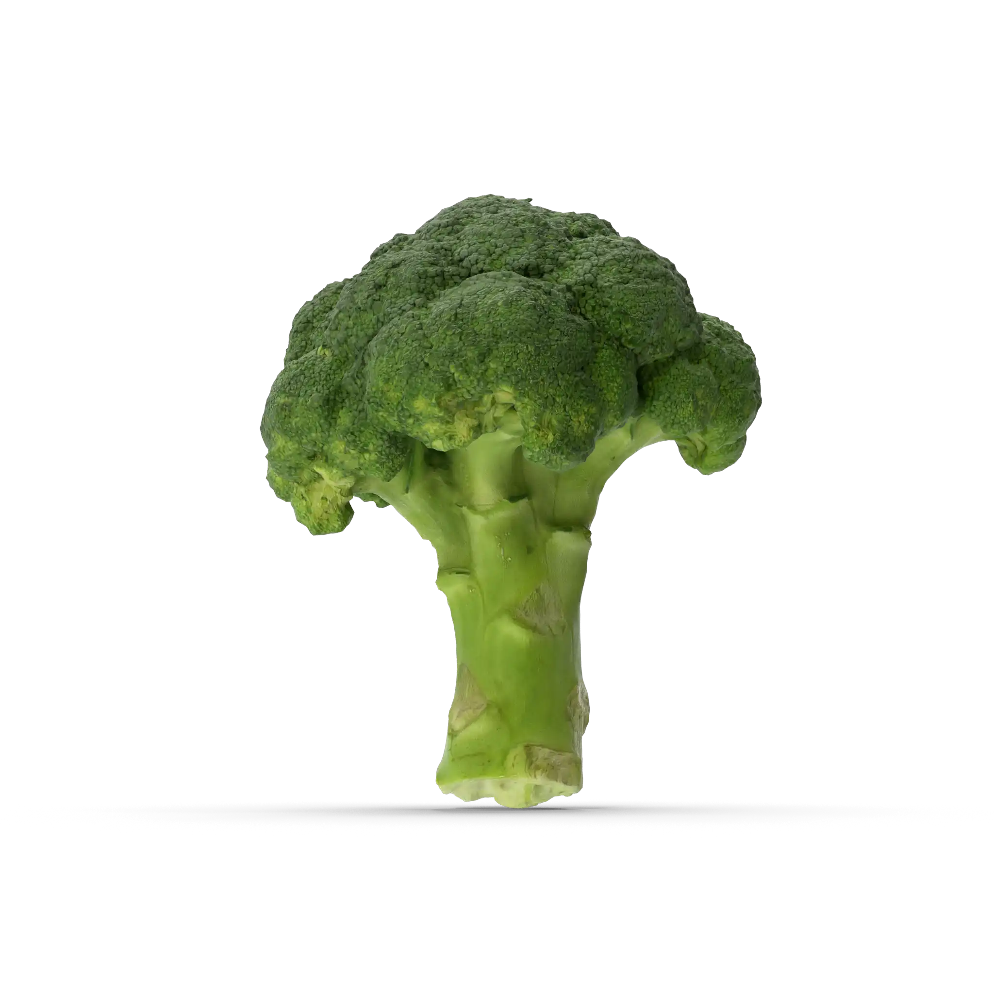 brokoli dostava zelenjava sadje