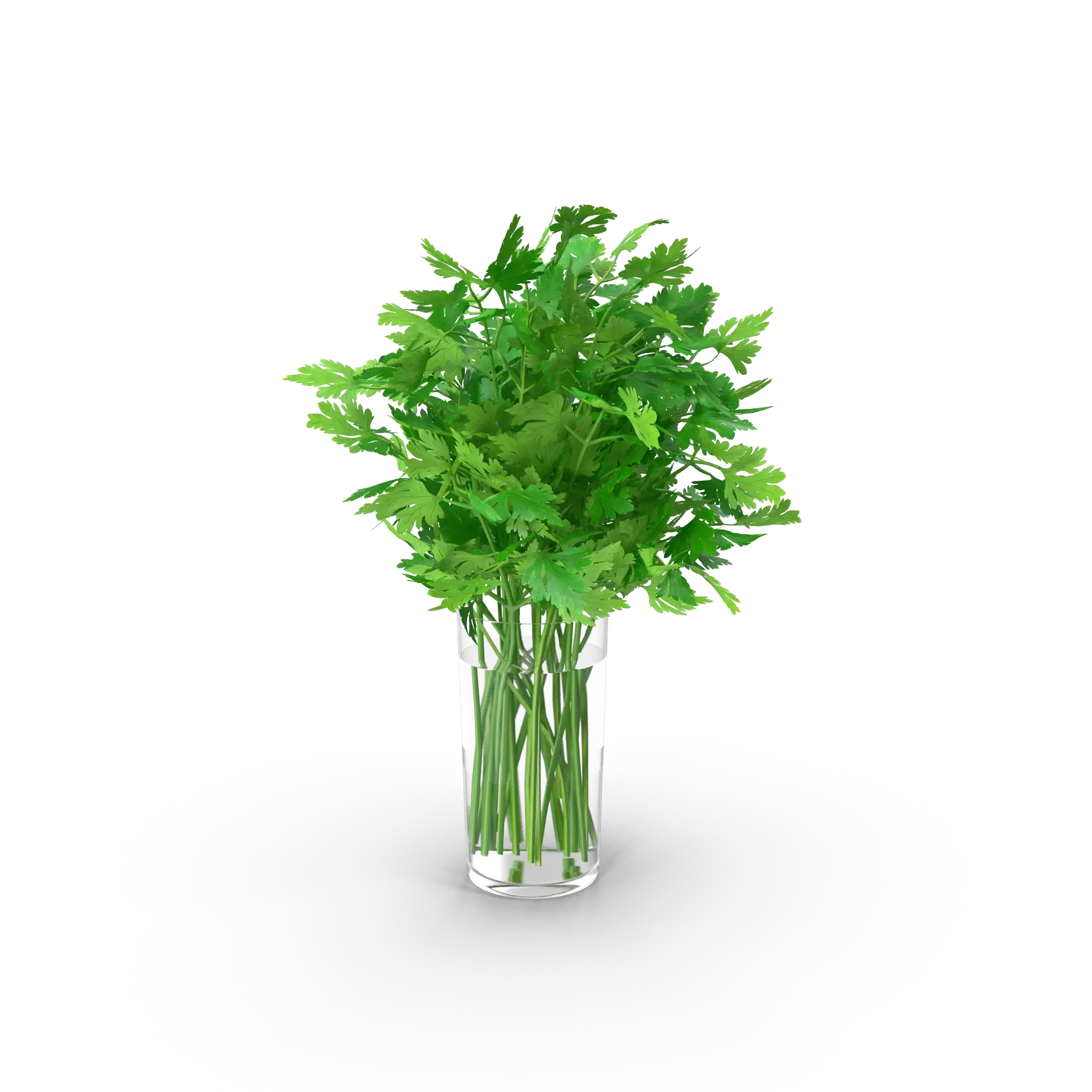 peteršilj rezani dostava zelenjava sadje