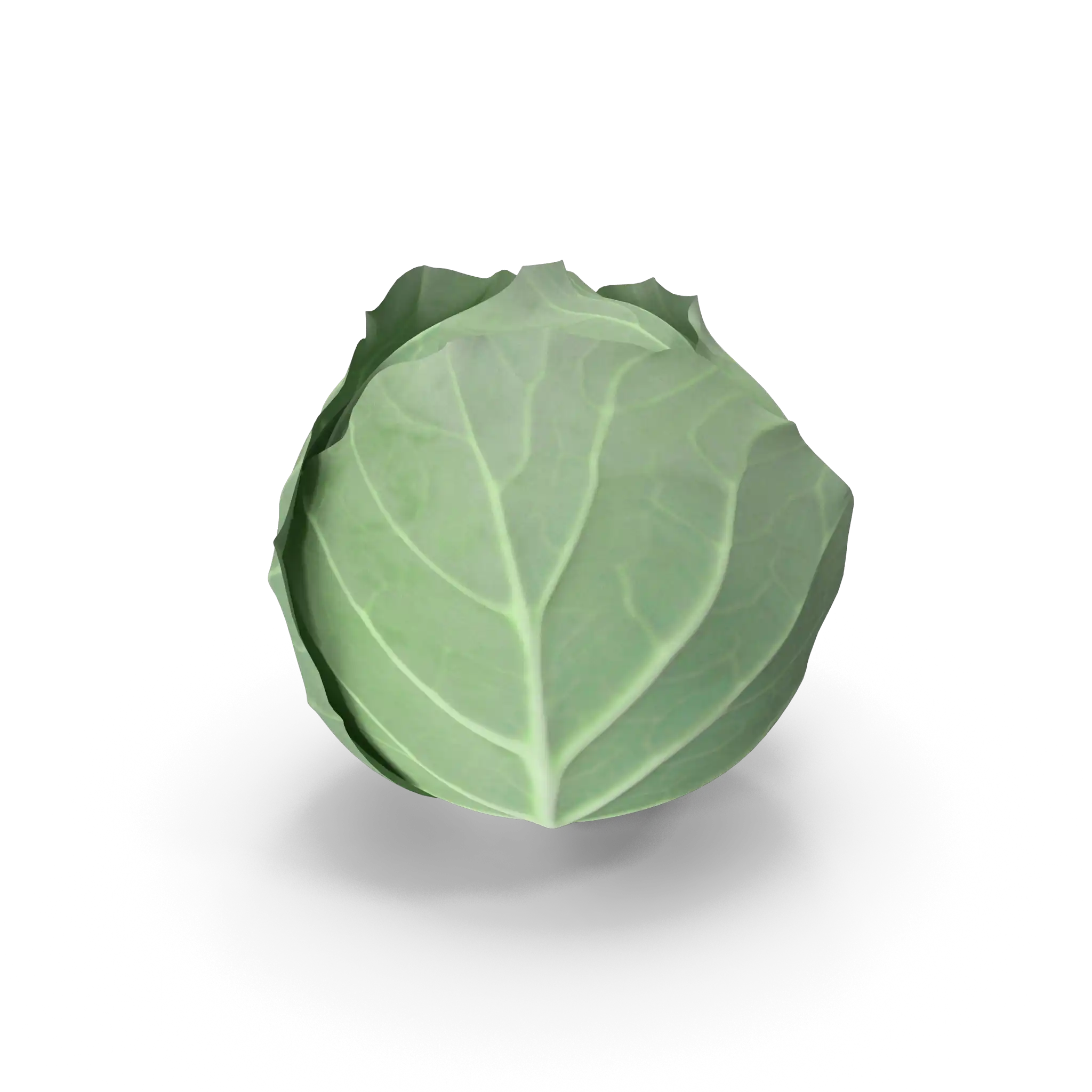 Okroglo zelje solatno zelje Zdrava nabava dostava