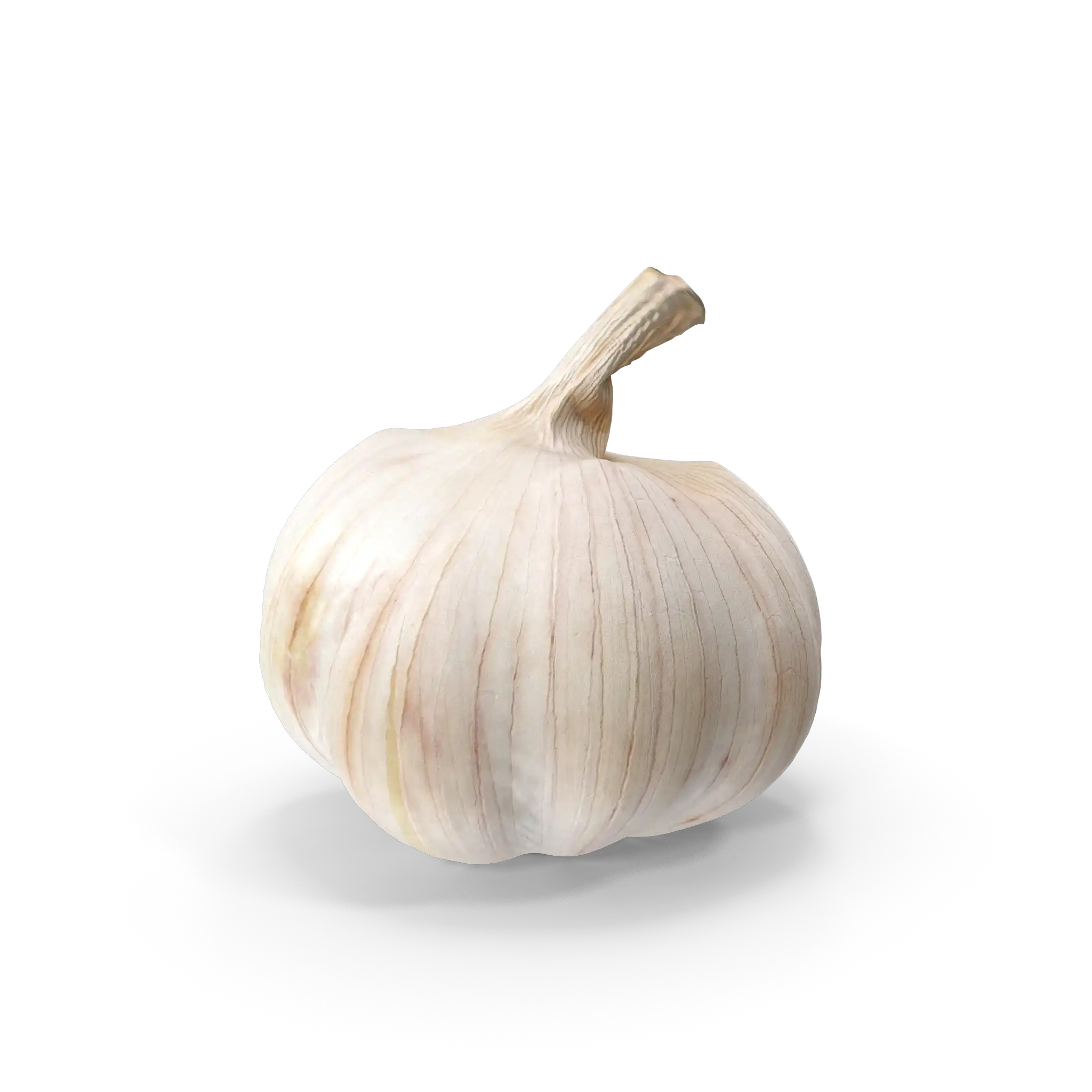 domač slovenski česen dostava zelenjava sadje