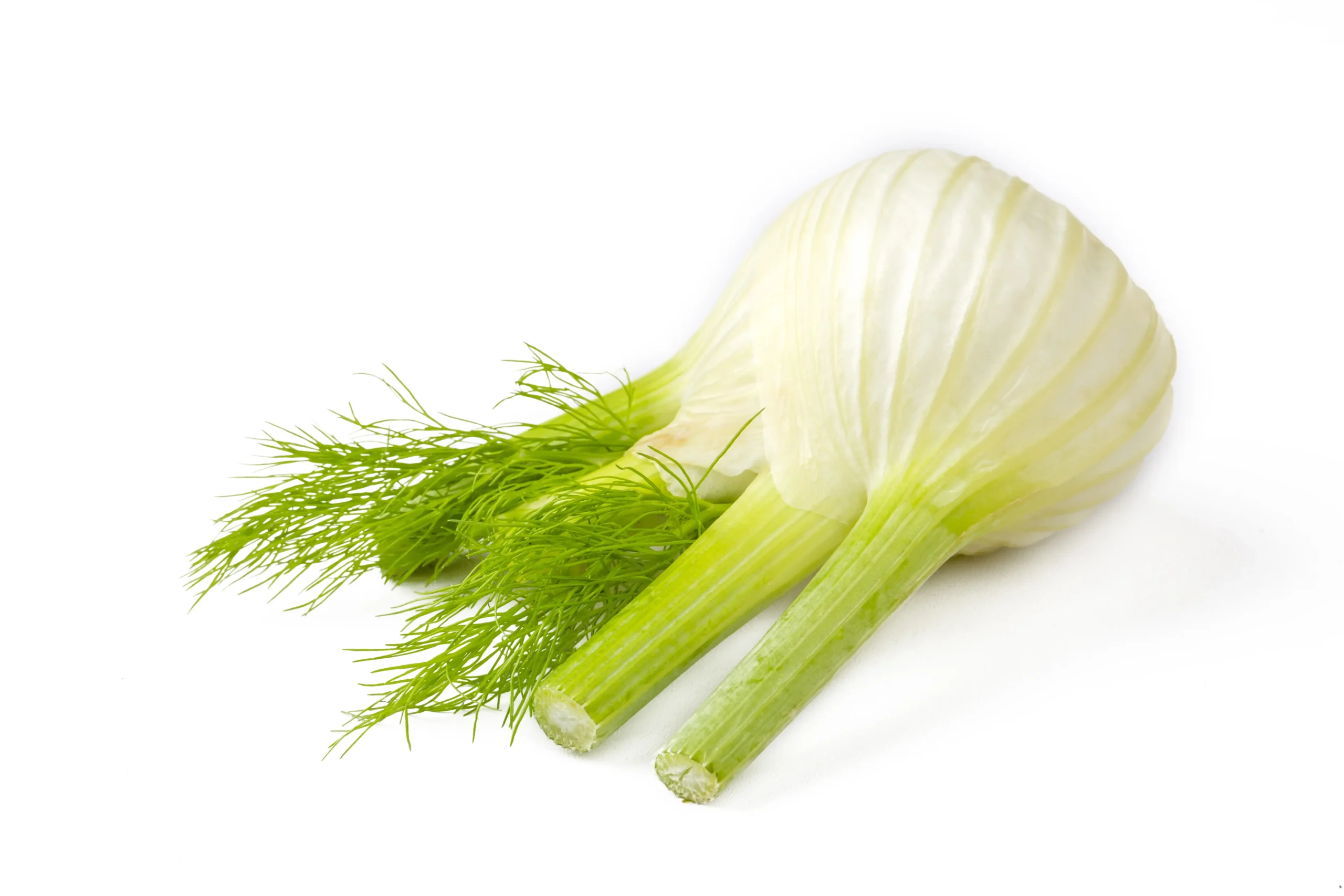 koromač dostava zelenjava sadje