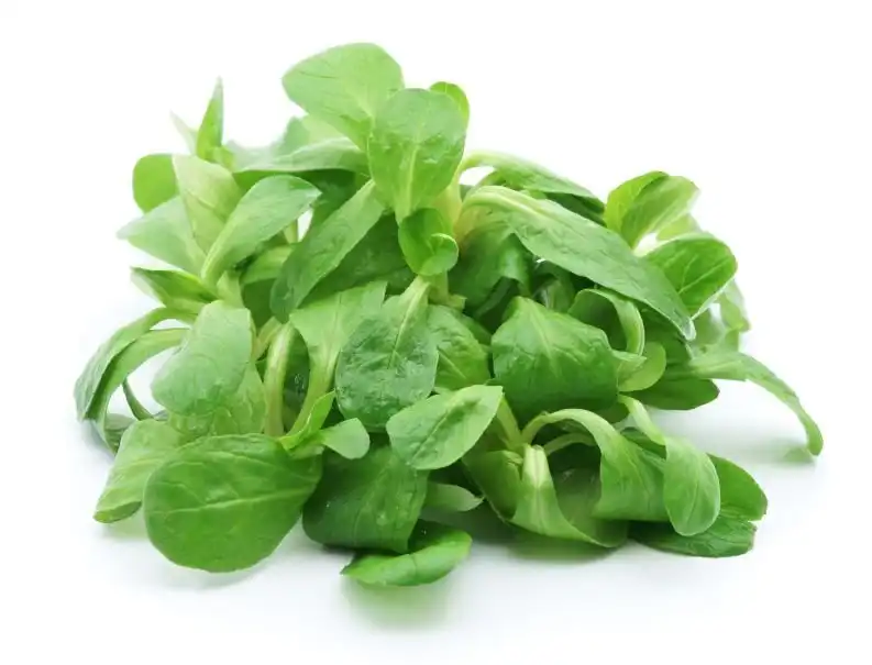 motovilec dostava zelenjava sadje